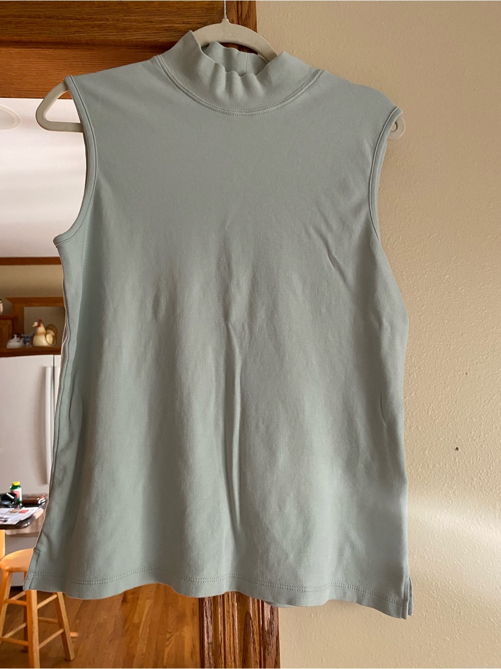 Sleeveless Mock Neck Top in Light Sage size M